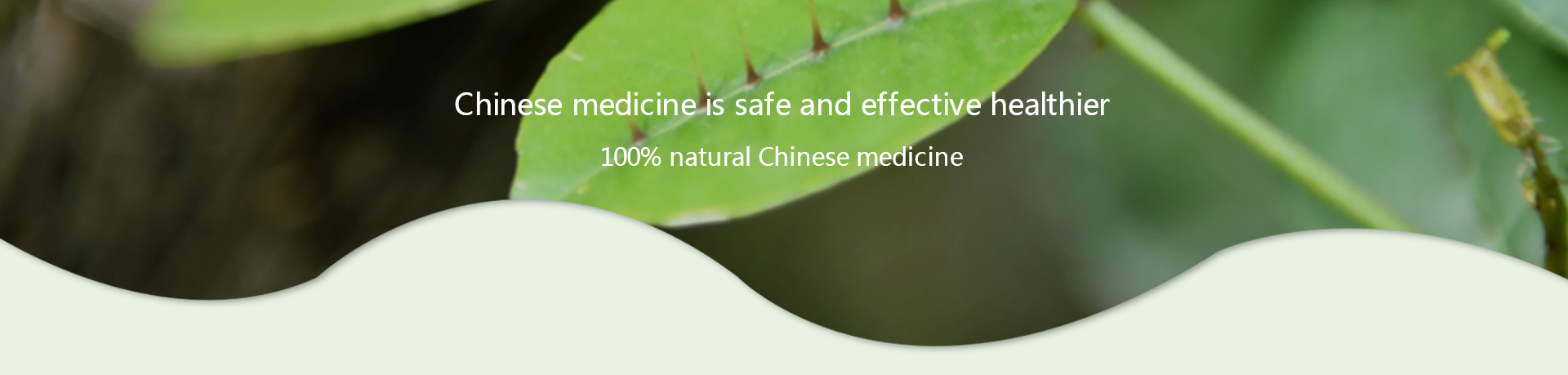 MG游戏官网 - 首页