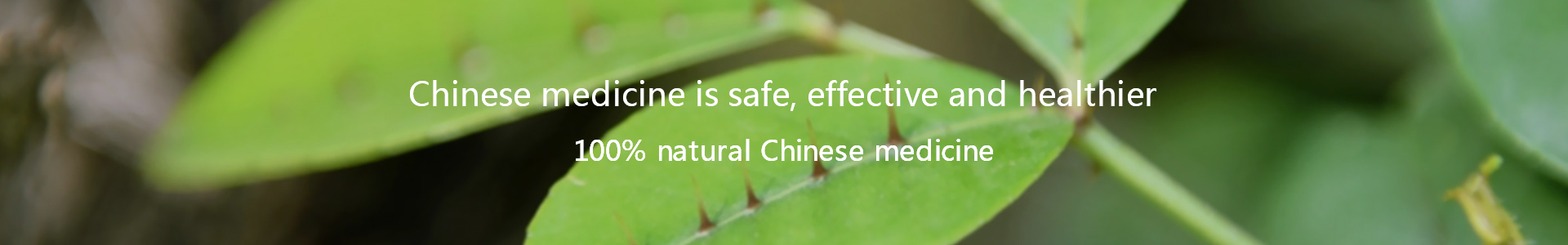 MG游戏官网 - 首页
