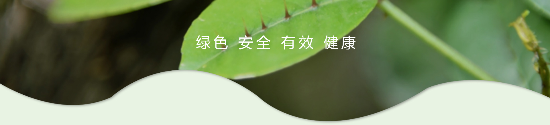 MG游戏官网 - 首页
