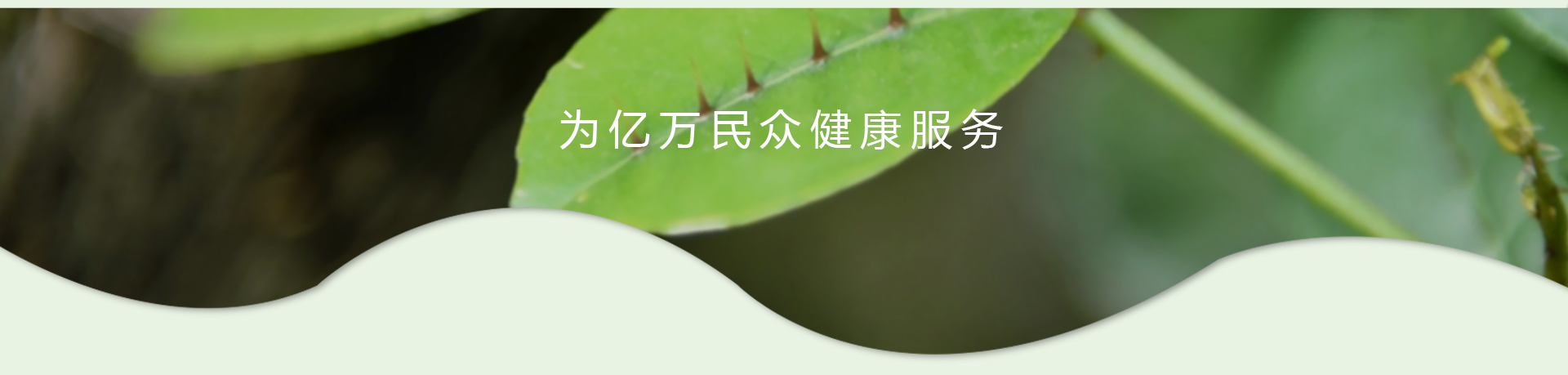 MG游戏官网 - 首页
